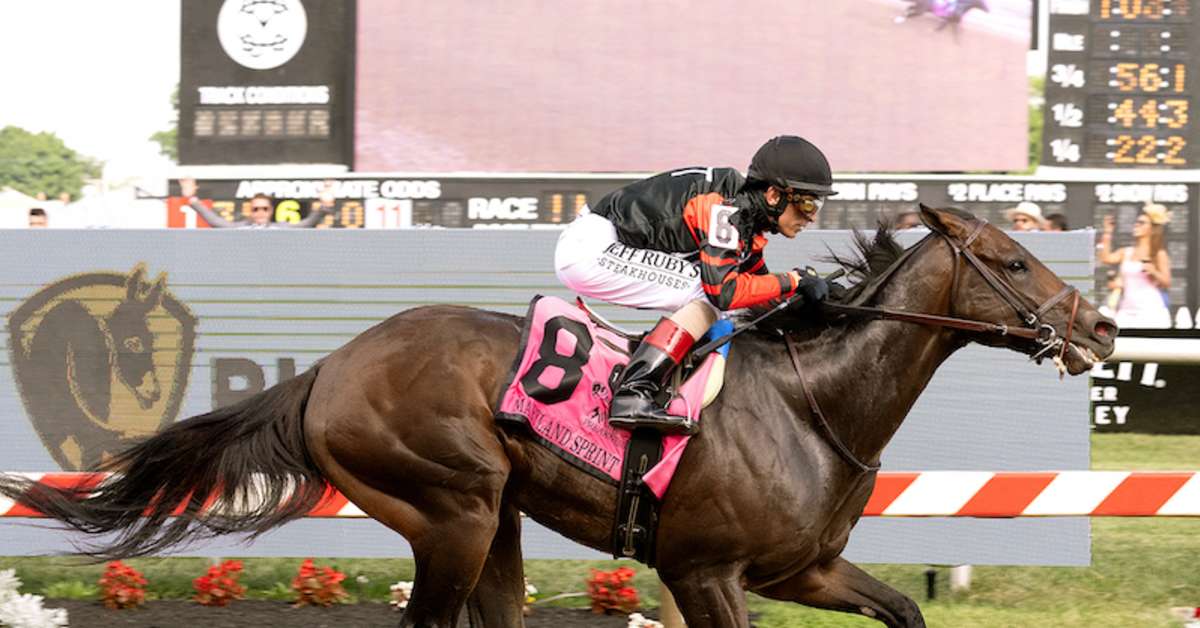 Equibase Analysis: The Chosen Vron Hopes to Repeat in Del Mar's Bing Crosby Stakes