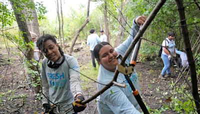 'You can't be what you don't know exists' How one program helps Milwaukee youth find careers in sustainability