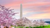 9 Super Cool Things to Do in Washington, D.C. That Won't Break the Bank