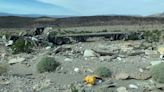 Truck crash in Death Valley involves bees, stings for several people