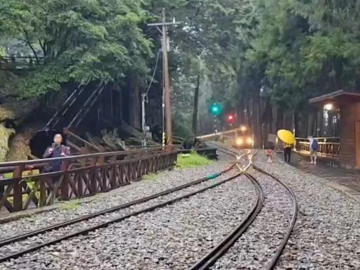 快訊/「3地區」國家警報響！嘉義林鐵睽違15年 旅客阿里山站冒雨迎首班列車