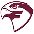 Fairmont State Fighting Falcons