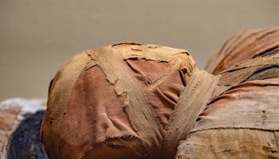 A 2,000-Year-Old Sarcophagus Was Just Unsealed—and the Mummy Inside Is Mind-Blowing