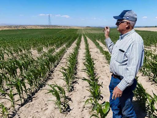 Idaho is losing a farm a day. How will we feed a growing population? - East Idaho News