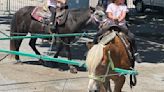 PHOTOS: Fun, food and more at the Fourth Street Festival in Grand Island