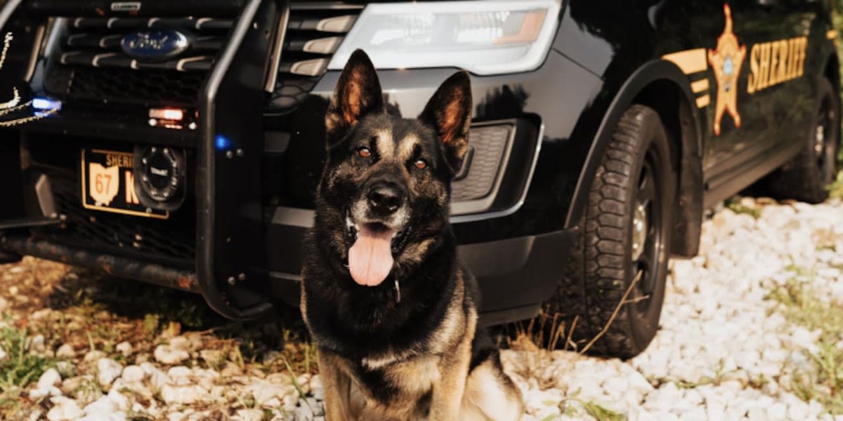 Retired Portage County Sheriff’s Office K-9 Felon dies