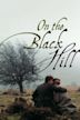 On the Black Hill (film)