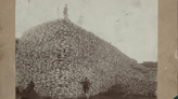 Fact Check: The Truth About Photo Allegedly Showing a Man Standing on Large Pile of Bison Skulls