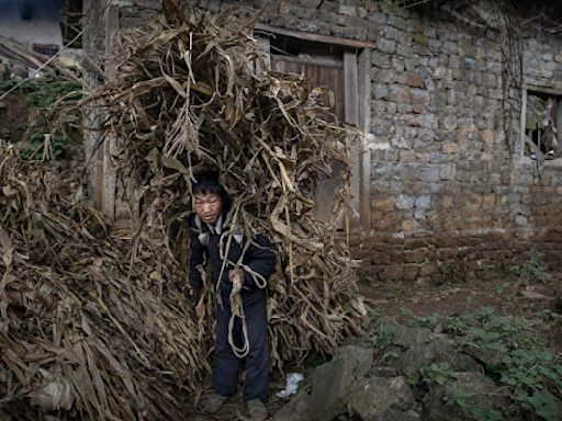 李強喊守住大規模返貧底線 脫貧造假引關注