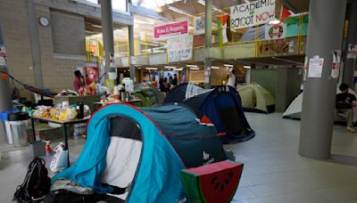 Universidad de Ámsterdam cancela clases por protesta contra la guerra en Gaza