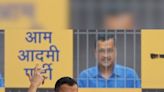 Excise policy case: Kejriwal's custody extended till August 8. Details