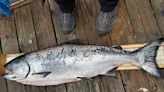 California Cancels Salmon Season for Second Consecutive Year