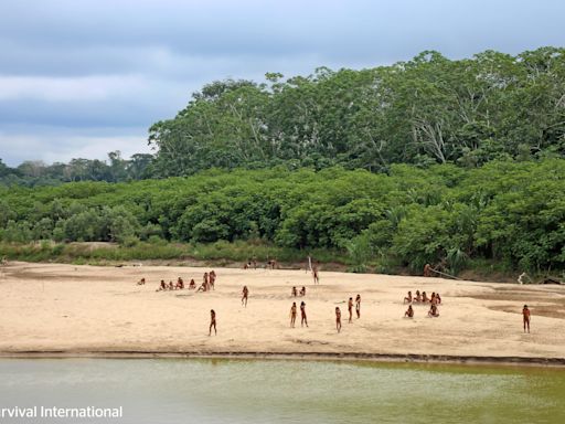 Video shows isolated Amazon tribe emerge from rain forest in Peru amid threat from loggers