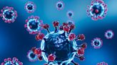WHO將新冠病毒EG.5列為需留意變異株 有較高傳染性