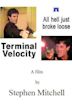 Terminal Velocity