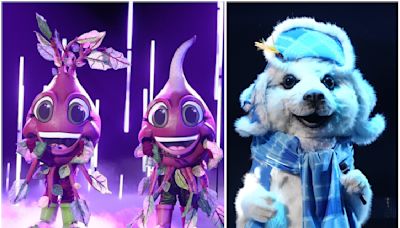 ‘The Masked Singer’ Reveals Identities of the Seal and Beets: Here Are the Celebrities Under the Costumes