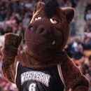 Buster Bronco (Western Michigan)