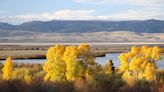 Groups sue over grazing agreements in Red Rock Lakes National Wildlife Refuge