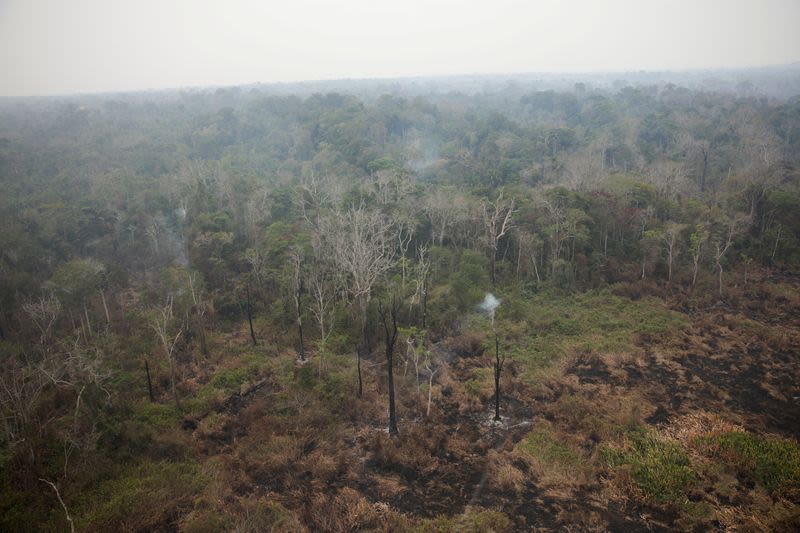 Blazes in Brazil’s Amazon off to record start in 2024, as firefighting budget cut