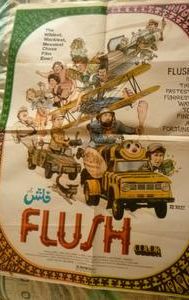 Flush (film)