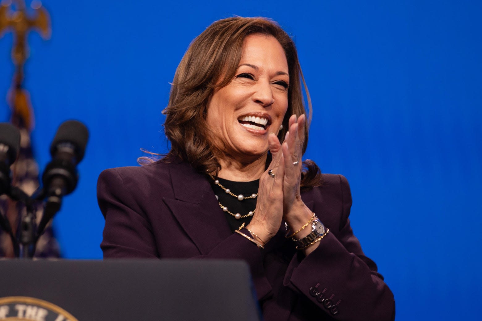 Kamala Harris is Brat (And the Presumptive Democratic Nominee)