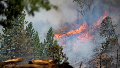 Park Fire Updates: Evacuations impacting Butte, Plumas, Shasta and Tehama counties