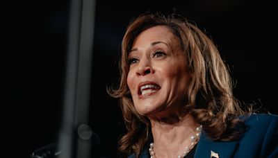 Harris gets New York Dems back on track