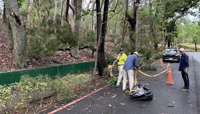 遊客遭路樹壓死 高雄澄清湖中午起封園一週