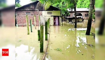 Brahmaputra and Tributaries Water Levels Above Danger Level Causing Devastating Floods in Assam | Guwahati News - Times of India