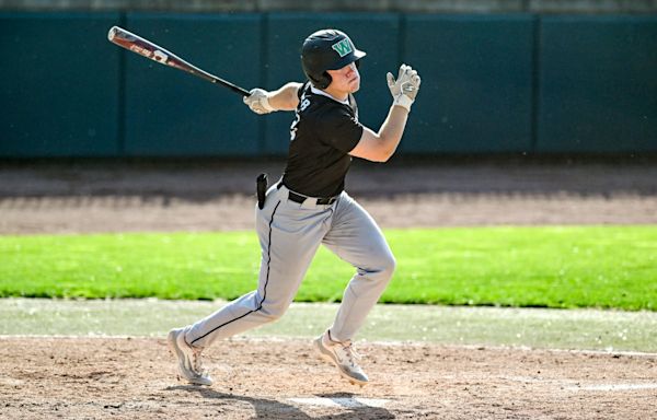 Williamston baseball reaches first Diamond Classic final with win over Grand Ledge