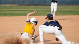 Here are the Ann Arbor-area baseball teams that are trending upwards