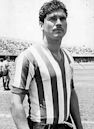 Salvador Reyes (footballer, born 1936)