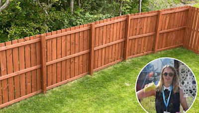 I'm a gardener, I know how to make an ugly fence disappear with an £8 Wickes buy