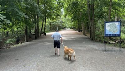 Point Pleasant? Popular park as a homeless encampment site faces scrutiny - Halifax | Globalnews.ca