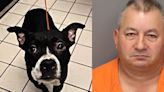 Officials: Man arrested for allegedly decapitating dog he just adopted, dumping it in park