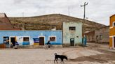 Getting Dogs in Bolivia the Essential Care They Need