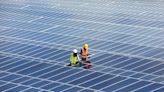 Fossil fuels ‘becoming obsolete’ as solar panel prices plummet