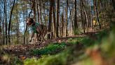 Whitewater Center plans to open a 70-acre dog park this fall. No leashes required