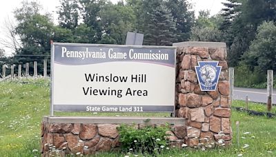 Should the Pa. Game Commission be the Wildlife Commission? A conservationist believes so