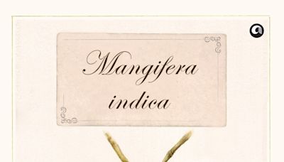 Book Review: Sopan Joshi's 'Mangifera Indica' Is A Treat For Mango Lovers