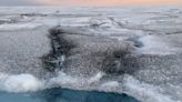 Strange Giant Viruses Found Lurking On Greenland Ice Sheet