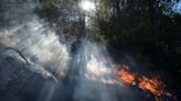 Fires near Athens under control as new blazes rage in Greece