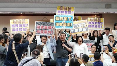 民眾黨早表態反提高罷免門檻 黃珊珊斥綠：立院整天停擺非國家之福