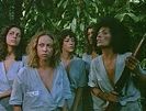 Women in Fury (1984)