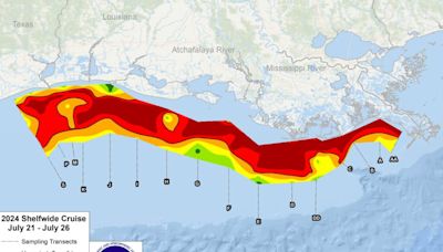 Gulf ‘dead zone’ is larger than average this year, the size of New Jersey