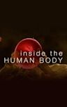 Inside the Human Body