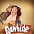 Rawhide (1951 film)