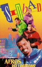 The Sinbad Show