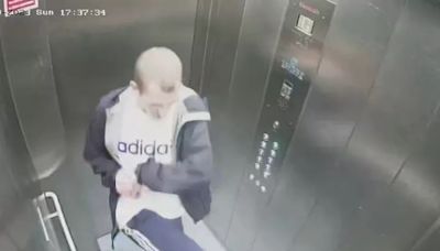 Man banned from having dogs after CCTV caught what he did in lift