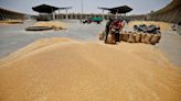 India sets up panel to assess impact of higher temperatures on wheat crop
